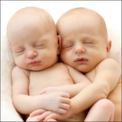 Retrouvez la femme ayant chanté "Les Jumeaux du bout du monde".