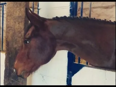À qui Sonia et Emilie font-elles des pions dans la vidéo « Faire des pions » ?