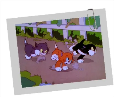 Quel qualificatif convient aux trois petits chats dans les ''Silly Symphonies'' ?