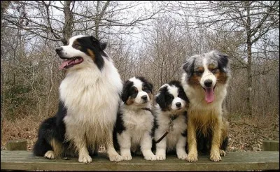 Combien de temps durent les chaleurs ?