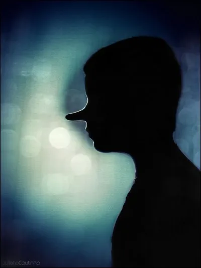 Qui a chanté "Hou ! La menteuse" ?