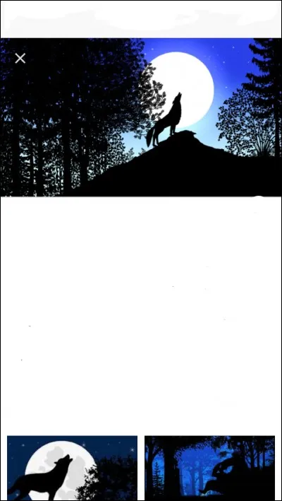 Quel animal est nocturne ?