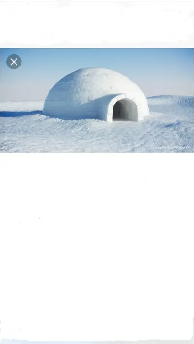 Quel animal vit dans un igloo ?