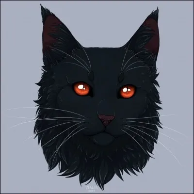 Quel est le nom de guerrier d'Étoile Noire ?