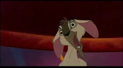 Comment s'appelle la chèvre gitane d'Esméralda qui la suit partout dans "Le bossu de Notre-Dame" ?