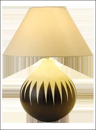 C'est une lampe, mais plus prcisment...