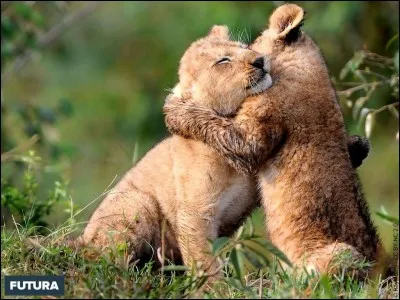 Comment s'appelle leur cadette ?