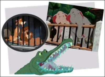 Dans quel Disney peut-on voir ce couple d'éléphant au zoo ?