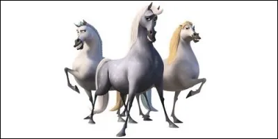 Les chevaux Greta, Hans et Klaus proviennent du film :