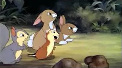 Dans quel Disney peut-on croiser ces petits lapins ?