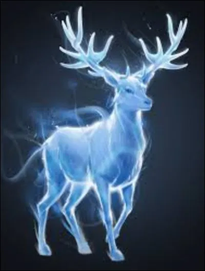 Quel est le patronus de Harry ?