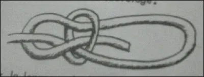 Ce nud est appelé :