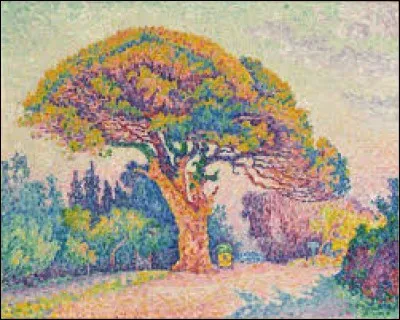 Comment Signac se nomme-t-il ?