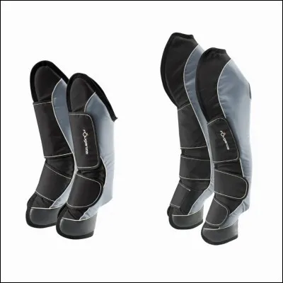 Quel est ce type de protection?