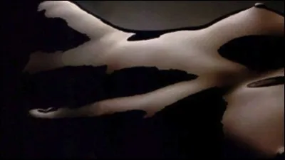 Quelle chanteuse interprète 'La Femme chocolat' ?