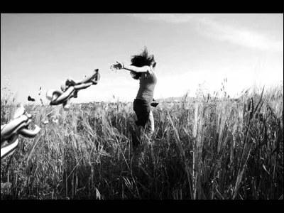 Comment est la femme dans la chanson de Cookie Dingler ?