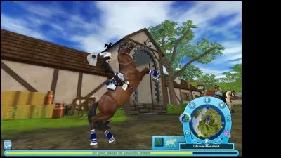 Quelle est la race de notre cheval de départ ?