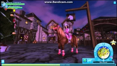 Quel est le niveau maximum pour un cheval ?