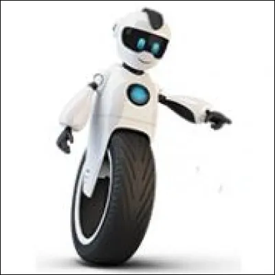 Quel est le nom de cette entreprise française de commerce électronique ?