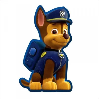 A quoi Chase est-il allergique ?