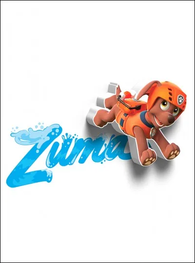 Zuma adore faire des...