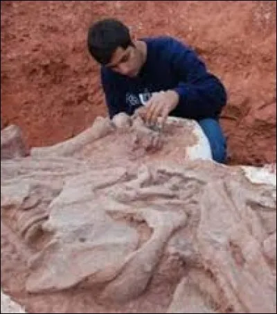 Quel est le métier de cet homme ?