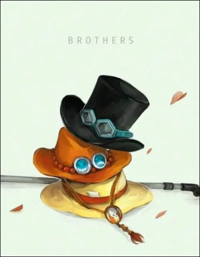 Aimes-tu les pirates ?