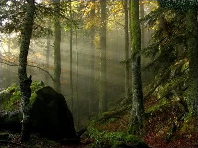 À quelle époque cela se passe-t-il ?