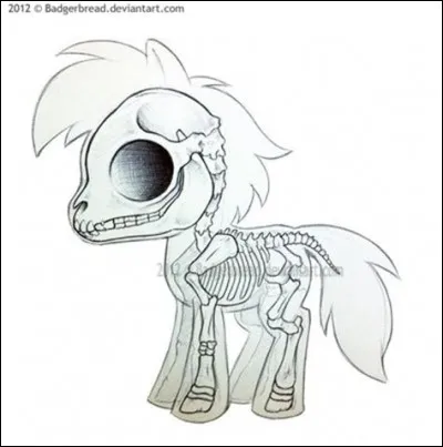 Quelles sont les vertèbres du cheval qui lui servent de colonne vertébrale ?