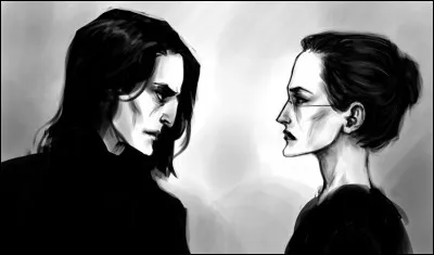 Severus Snape, c'est le plus charismatique, le plus stylé, le plus fort (ceci n'est pas une question). Ce qui te fais craquer chez lui c'est :
