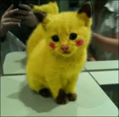 Quel animal voyez-vous en Pikachu ?