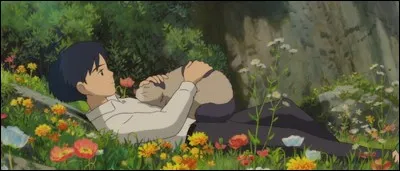 Pour quelle raison Shō est-il venu habiter à la campagne chez sa grand-tante Sadako ?