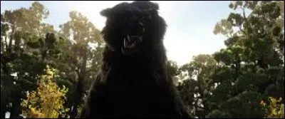 Qu'était? avant d'être un ours, l'antagoniste principal du film "Rebelle", prénommé Mor'du ?