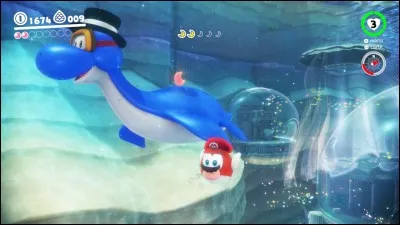 Dans le pays du Lac, on peut trouver :