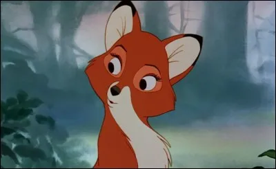 De quoi Rox insulte-t-il la renarde Vixy, ce qui va la vexer terriblement ?