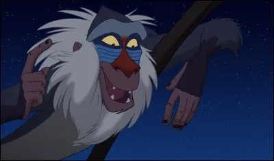 De quoi est orné le bâton sur lequel s'appuie Rafiki, le singe sage du "Roi lion" ?