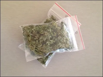 Comment appelle-t-il la façon de se droguer avec la pisse de chat ?