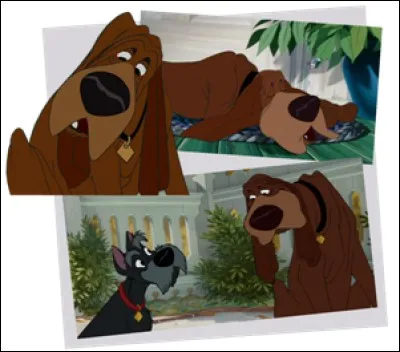 Comment s'appelle le comparse de Jock, le terrier de bonne famille dans « La Belle et le Clochard » ?