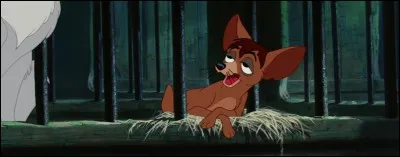 De quelle nationalité est Pedro, le chihuahua de « La Belle et le Clochard » ?