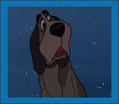 Quel animal accompagne le chien de campagne Grognard dans « les 101 Dalmatiens » ?