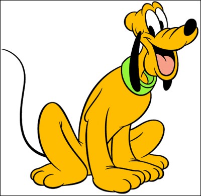 De quelle race est Pluto, le fidèle compagnon de Mickey ?