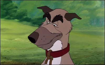 Par quoi est percuté Chef, le vieux chien bougon de « Rox et Rouky » ?