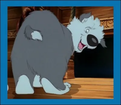 Dans quel Disney peut-on voir ce chien poilu ?