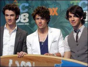 Comment s'appellent ces 3 garçons et quel est le nom de leur groupe ?