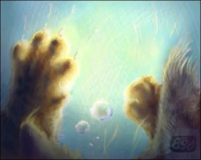 Plume de Flamme est mort et a rejoint le Clan des Étoiles. Aile de Colombe a failli être obligée de le tuer quand Plume de Faucon l'a attiré dans la Forêt Sombre.