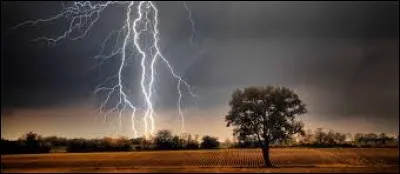 Vrai ou faux : sur cette image, le meilleur moyen de se protéger de l'orage, est de se cacher sous l'arbre à droite.