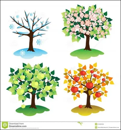 Quelle est ta saison pr&eacute;f&eacute;r&eacute;e ?