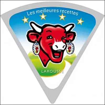 De quelle marque s'agit-il ?