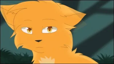 Papillon (Guérisseuse du clan de la Rivière) ne croit pas au clan des Etoiles.