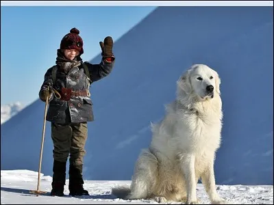 Comment s'appelle ce chien ?